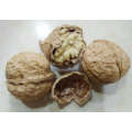 Lowest price china whole walnut in shell with high quality